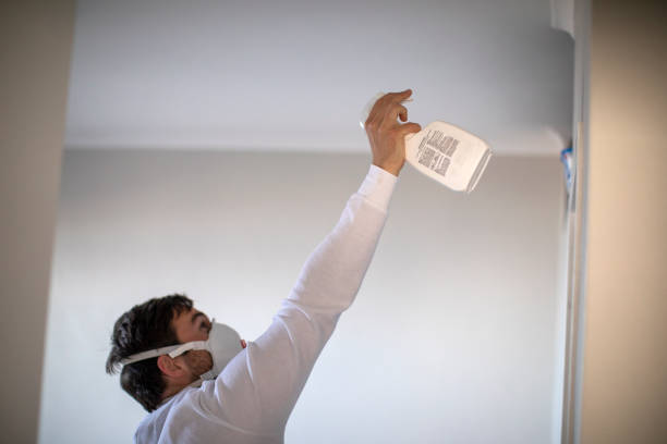 Best Residential Mold Removal  in East Oakdale, CA
