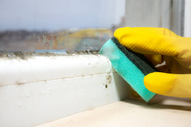 Best Mold Testing  in East Oakdale, CA