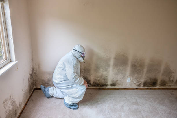 Best Crawl Space Mold Removal  in East Oakdale, CA