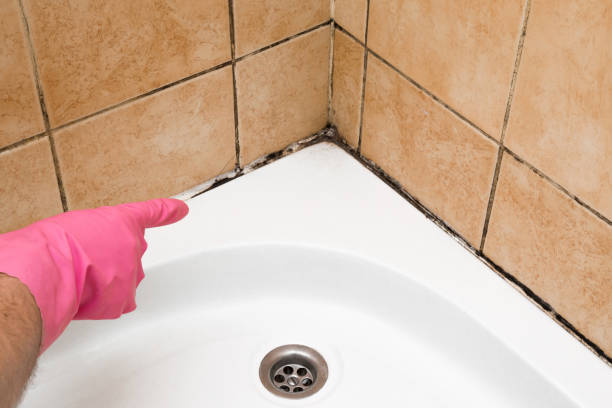 Best Residential Mold Removal  in East Oakdale, CA
